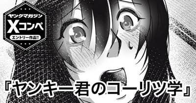 ヤンキー君のコーリツ学