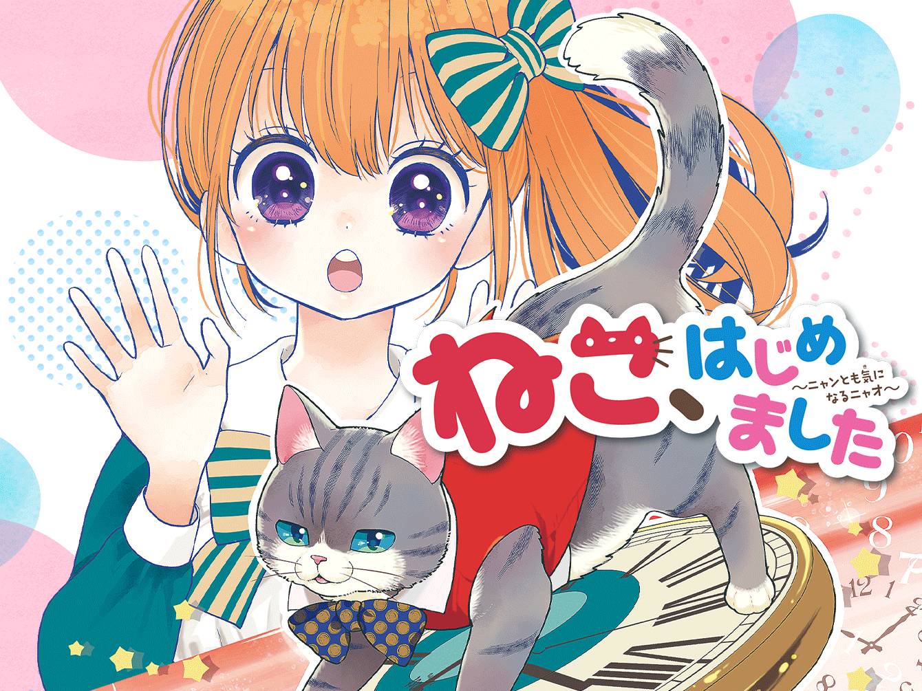 ねこ、はじめました