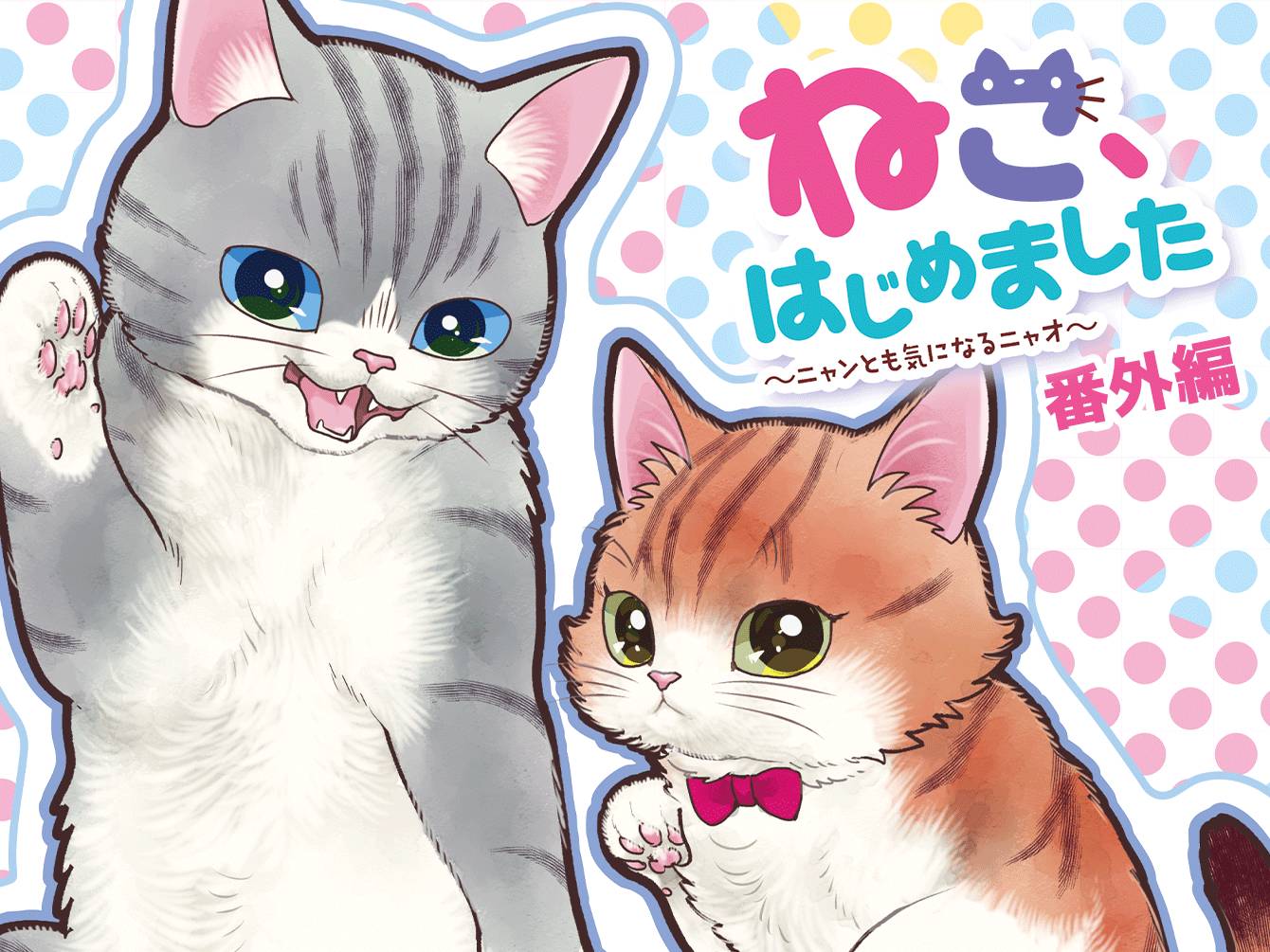 ねこ、はじめました 番外編