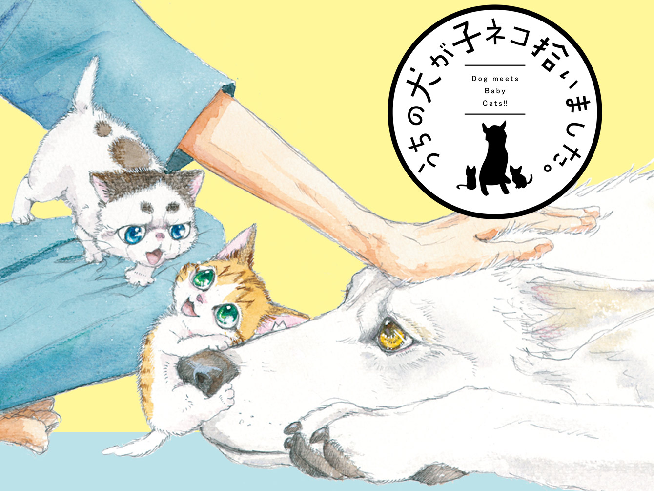うちの犬が子ネコ拾いました。