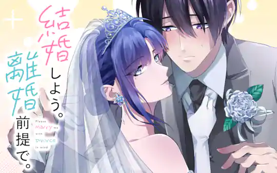 結婚しよう。離婚前提で。