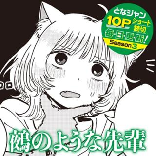 鵺のような先輩