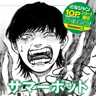 サマーポット