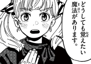 欲しかった魔法