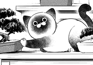 御隠居VSにゃん吉