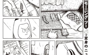 あどけない翅のはなし