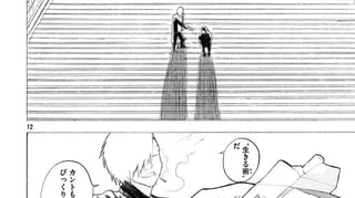 奴のサナトロジー