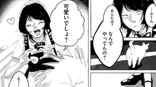 連れ出して明星