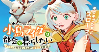 小鳥ライダーは都会で暮らしたい モフモフな相棒と、のんびり異世界冒険記