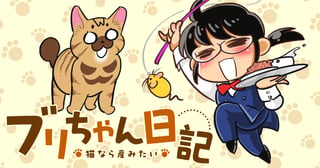 ブリちゃん日記～猫なら産みたい～