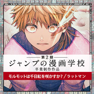 モルモットは千日紅を咲かすか？