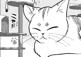 仁義にゃき戦い