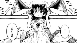 雛猫
