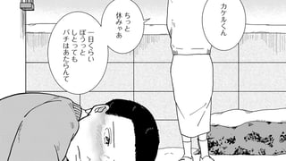 雪と夜盗蛾