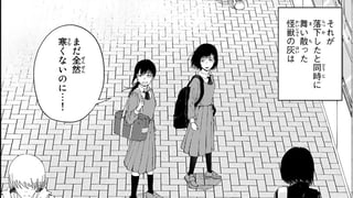 シスターグレイ