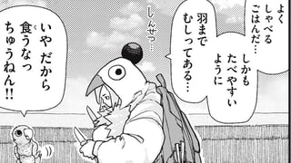 コバヤシ飛行計画
