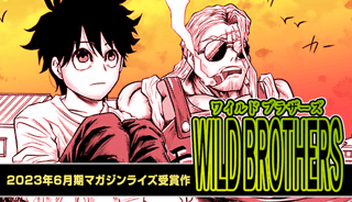 WILD BROTHERS