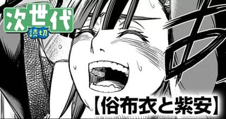 俗布衣と紫安