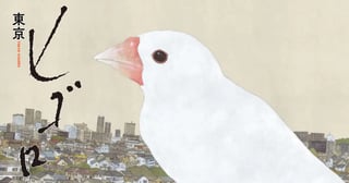 東京ヒゴロ