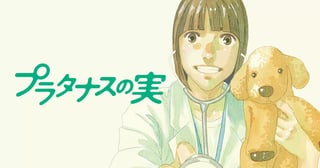 プラタナスの実