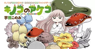 キノコのアケコ