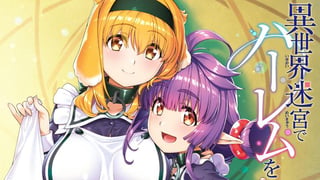 異世界迷宮でハーレムを