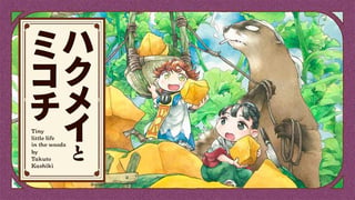 ハクメイとミコチ