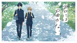 君には届かない。