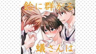 飴に群がる蟻さんは