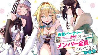 勇者パーティーをクビになったので故郷に帰ったら、メンバー全員がついてきたんだが