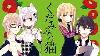 くだみみの猫