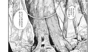 華と獣