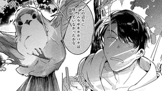 草木を駆ける素足