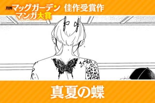 真夏の蝶