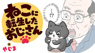 ねこに転生したおじさん