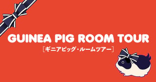 GUINEA PIG ROOM TOUR