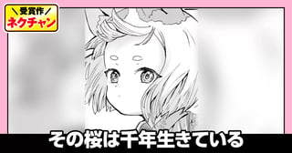 その桜は千年生きている(第19回NC奨励賞)