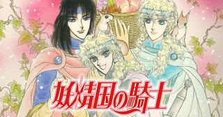 妖精国の騎士