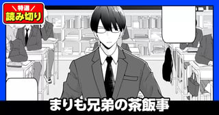 まりも兄弟の茶飯事／読み切り