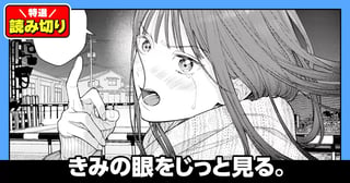きみの眼をじっと見る。／読み切り