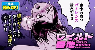 ワイルド番地／読み切り