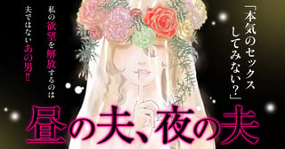 昼の夫、夜の夫