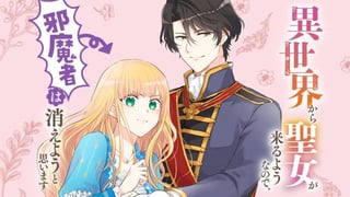 異世界から聖女が来るようなので、邪魔者は消えようと思います