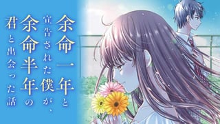 余命一年と宣告された僕が、余命半年の君と出会った話