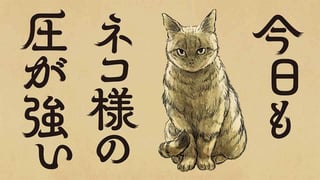 今日もネコ様の圧が強い