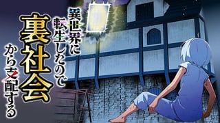 異世界に転生したので裏社会から支配する
