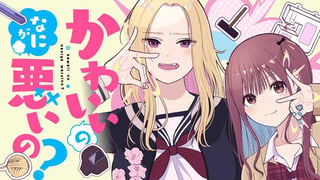 かわいいのなにが悪いの？