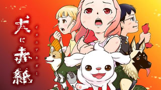 犬に赤紙