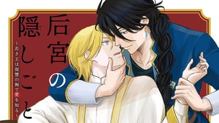 后宮の隠しごと～若き王は復讐の褥で愛を知る～