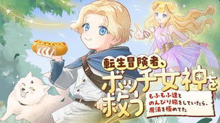 転生冒険者、ボッチ女神を救う　～もふもふ達とのんびり旅をしていたら、魔法を極めてた～